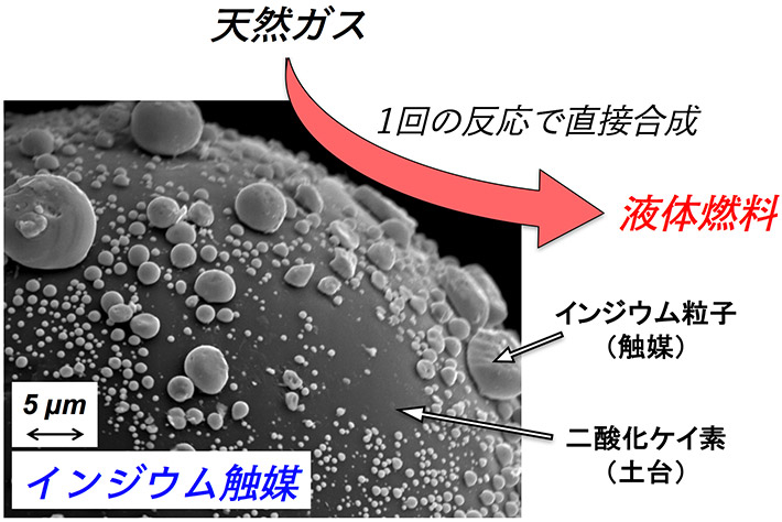 TBSテレビ「未来の起源」に山中研究室の学生が出演