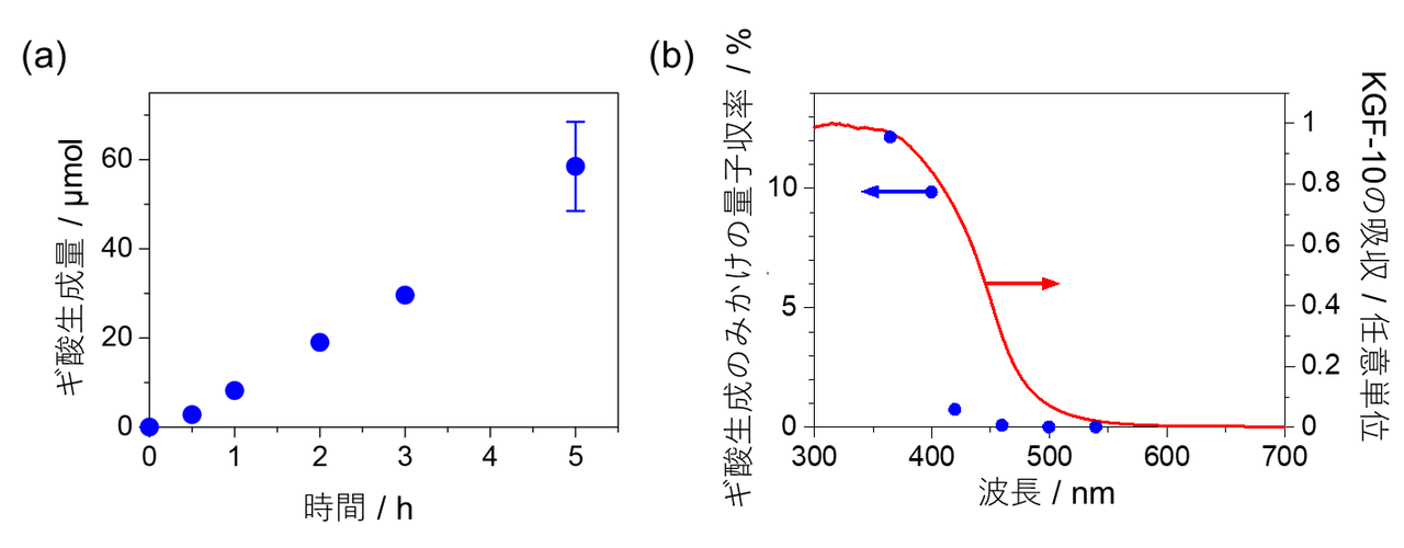 図3. （a）ギ酸生成の時間経過。種々の実験により、初めの30分程度で構造が変化してから直線的にギ酸が生成していることから、光触媒反応と確認された。（b）KGF-10の吸収とみかけの量子収率の作用スペクトル（用語5）。KGF-10の吸収（赤線）が530 nm付近から急激に立ち上がっているのに対して、ギ酸生成のみかけの量子収率（青点）も同様に540 nmからその値が立ち上がっており、KGF-10が吸収した光エネルギーが光触媒反応に利用されていることを示している。