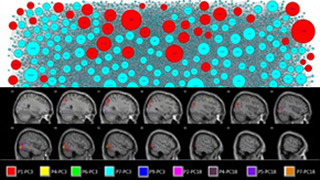 Markov-inverse-F measure: a network connectivity approach using MVPA of fMRI