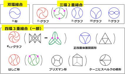 K<sub>3,3</sub>グラフと関連する複雑な多環状縮合構造高分子の「かたち」（青色の「かたち」は、これまでに報告されたもの、また赤色は今回の論文で報告したもの。なお緑色には、六分岐テレケリクスの末端の連結様式を示している。）