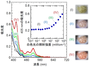 白色光の照射強度の増加に伴う吸光度の増大。写真は白色光の照射強度の増加に伴う材料粉末の色の変化