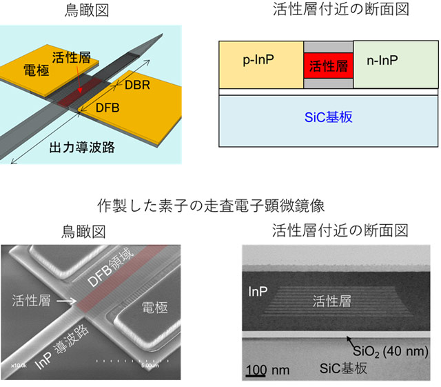 図3. 作製した素子の外観図と走査電子顕微鏡像