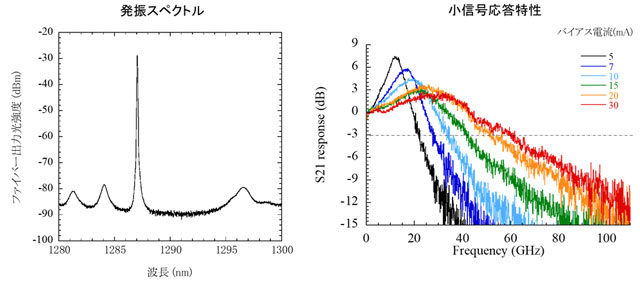 図5. 作製した素子の特性（端面からの反射のない素子）