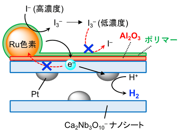 図3 色素増感水素生成反応のメカニズム 