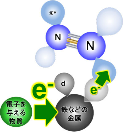 図6. 金属への電子供与による窒素分子の分解加速