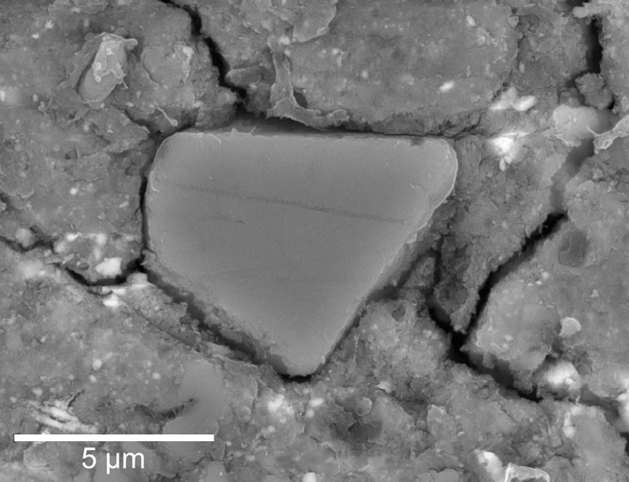 図1 リュウグウ試料中の方解石の電子顕微鏡像（反射電子） 