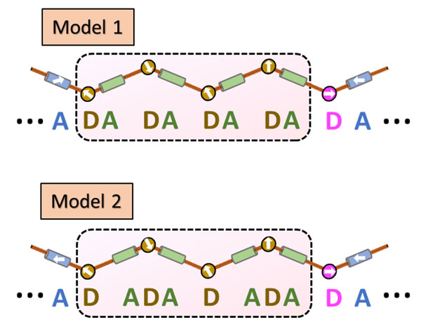 図4. 想定される2種類の光誘起状態の構造（Model 1とModel 2）。ある特定の一方向につながったドナーアクセプターのみを描いている。2種類の構造では、アクセプターの変位の周期が異なる。