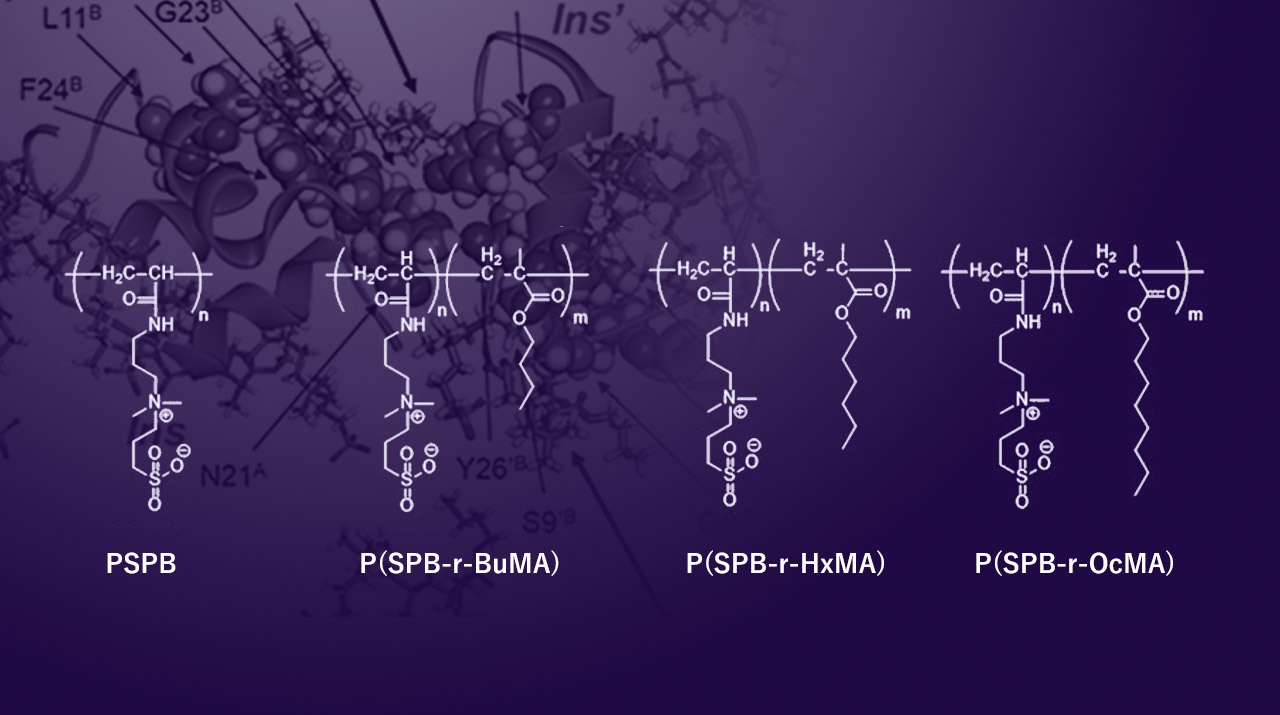 革新的ポリマーを用いたタンパク質凝集阻害メカニズムの解明