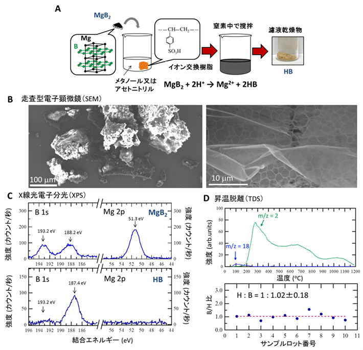 ホウ化水素（HB）シートに関する（A）生成方法の模式図、（B）走査型電子顕微鏡像、（C）X線光電子分光スペクトル、（D）昇温脱離測定結果と算出したB/H比