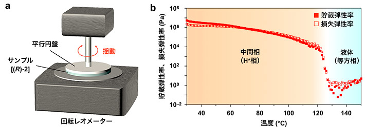 図3. （a）回転レオメーターを用いた（b）温度可変動的粘弾性測定の結果