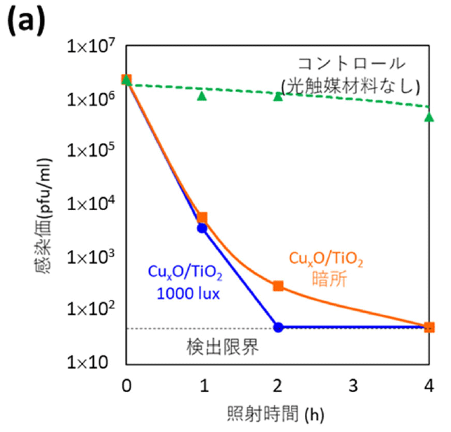 （a）ウイルス量の変化