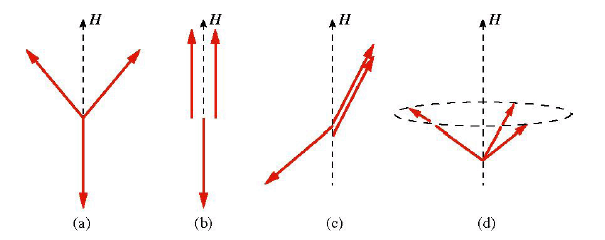 図3：磁場中のスピン状態。(a)は平面状態I（Y字状態）、(b)はup-up-down状態、(c)は平面状態II、(d)は傘状態。
