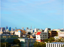 タワー見学、展示