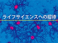 【一般公開】ライフサイエンスへの招待～生命を化学と物理で解き明かす