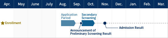 Bachelor's Programs