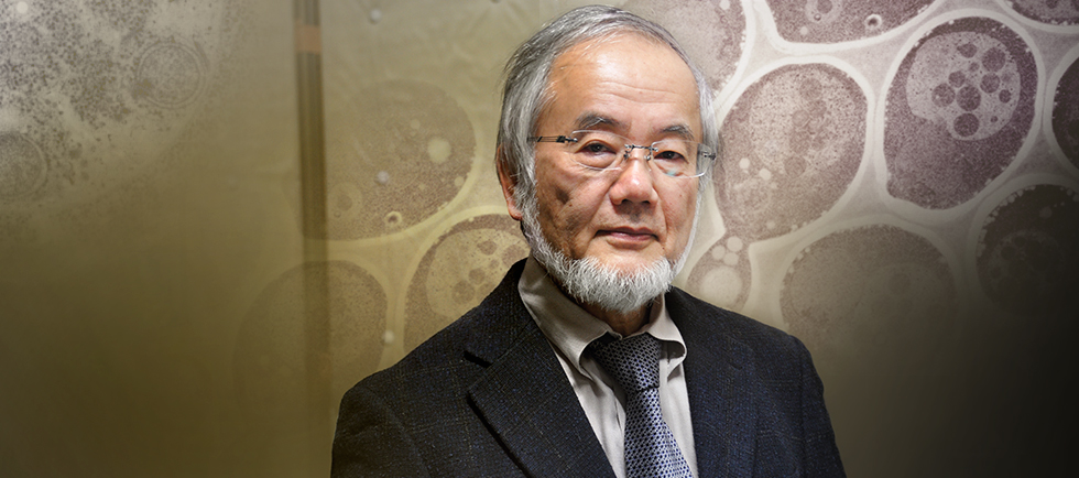 Yoshinori Ohsumi, 2016 Nobel laureate in Physiology or Medicine