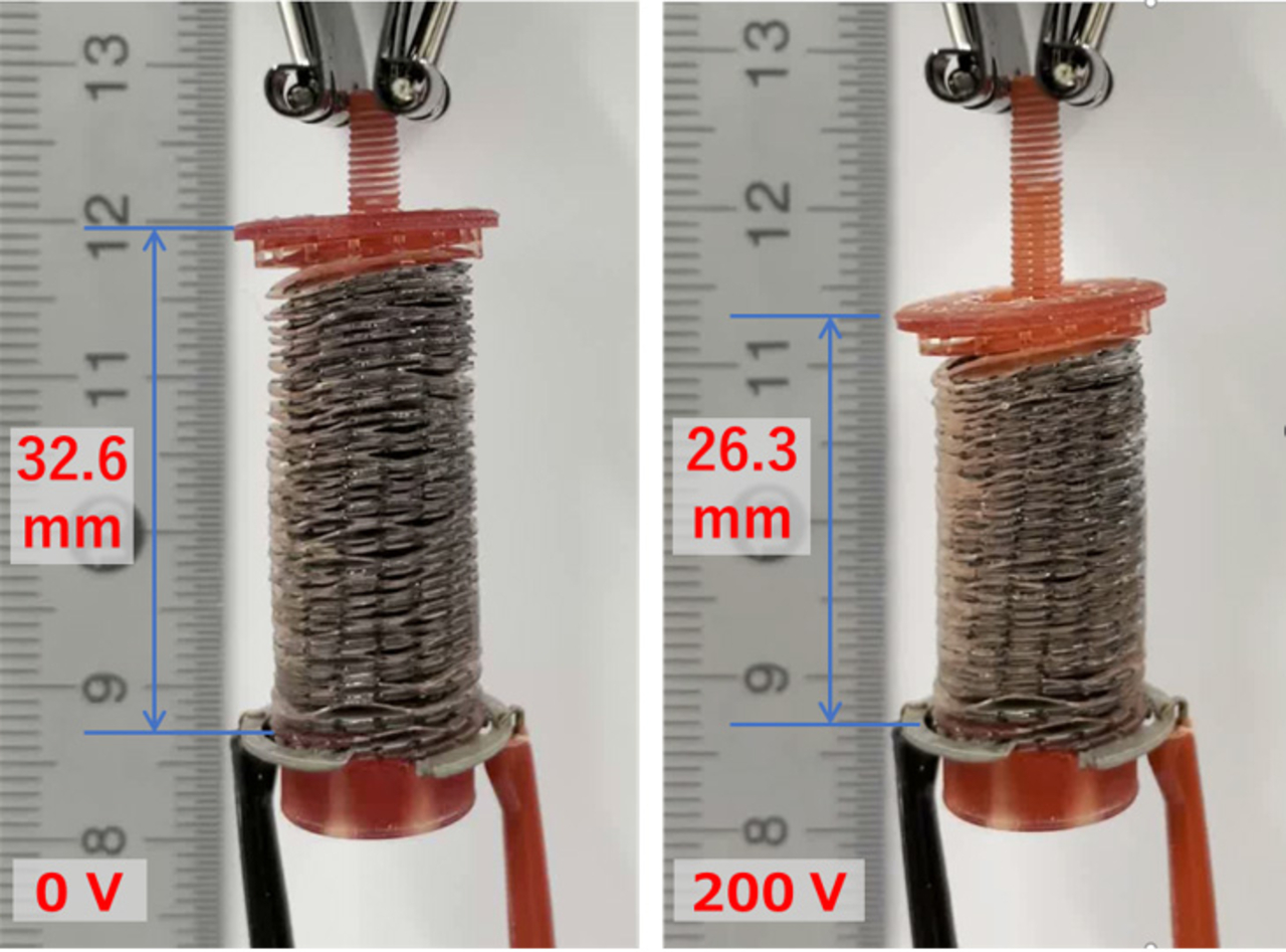 Figure 2 The 3D-printed double-helical coil electrode with ferroelectric liquid crystals The use of the ferroelectric medium generated forces sufficient to achieve a contraction of 6.3 mm with the application of 200 V.  The device was also observed to move slightly at 18 V, indicating that it can be powered by a battery.