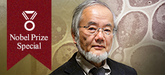 Special webpage for 2016 Nobel laureate in Physiology or Medicine