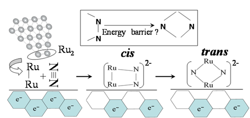 Fig. 1  A model of the reaction