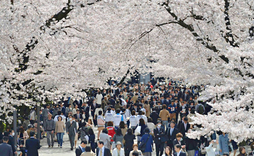 Academic Year 2014 Spring Entrance Ceremony