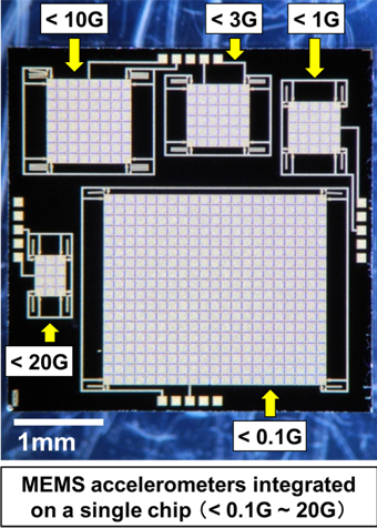 Figure 1 : Chip view.