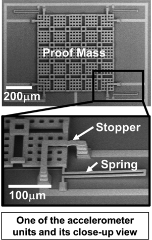 Figure 2 : Scanning electron microscope images.