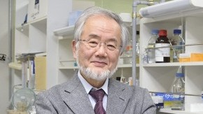 Honorary Professor Yoshinori Ohsumi Receives 2015 Canada Gairdner International Award