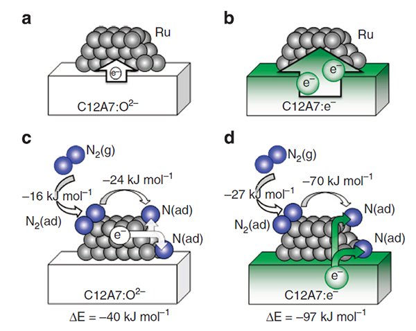 Ab initio simulations of N2 interaction with the Ru/C12A7 catalysts. Character of the charge redistribution between C12A7 substrate and deposited Ru clusters is shown for the stoichiometric (a) and the electride (b) C12A7. (c,d) Adsorption energies of N2 on C12A7-supported Ru, charge transfer in the process of N2 dissociation (N2(g)+ Ru -> 2N(ad) +Ru) and the corresponding energy gain (ΔE). In Ru/C12A7:O2- system (c), N2 and N accept electron charge from the Ru cluster, making it positively charged. In Ru/C12A7:e- (d), the electron charge is transferred from the substrate, leaving the Ru cluster nearly neutral. N2(g), N2(ad) and N(ad) represent N2 in gas phase, adsorbed N2, and adsorbed nitrogen atom, respectively.