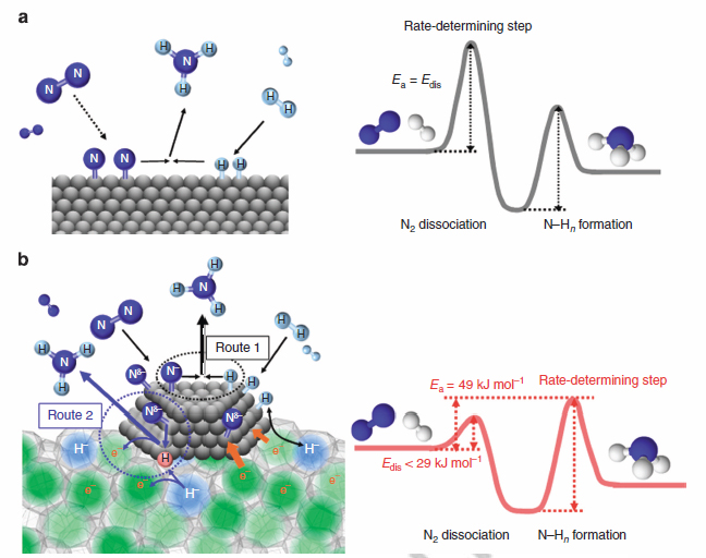 Proposed reaction mechanism and energy profile for ammonia synthesis. Reaction mechanism and energy profile for ammonia synthesis over (a) conventional catalyst and (b) Ru/C12A7:e-. (a) N2 and H2 react on the catalyst surface through a Langmuir-Hinshelwood mechanism to form NH3 in which N2 dissociation is the RDS. The energy barrier (Edis) for this step corresponds to the apparent activation energy (Ea) for ammonia synthesis. As for Ru/C12A7:e- (b), the rate-limiting step is not N2 dissociation but the formation of N-Hn species. NH3 is formed through the Langmuir-Hinshelwood mechanism (route 1) and the direct reaction of N adatoms with H radicals (nascent hydrogen) derived from cage H- anions (route 2). Ea is determined by the difference between the top of the barrier for N-Hn formation and the energy level of reactant molecules (N2 and H2).