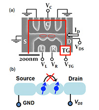 Research Related to the Spins in Semiconductor Quantum Nanostructures