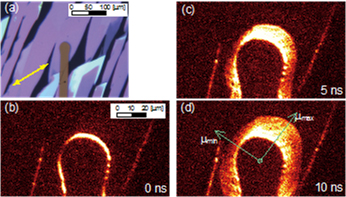 (a) Polarized microscopy image of round-shaped Au electrode. Time evolution of TRM-SHG images from round-shaped electrode at delay times of (b) 0, (c) 5, and (d) 10 ns.