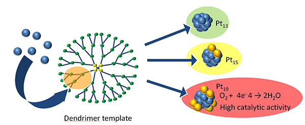 Schematic of the stepwise dendrimer-templating strategy for synthesizing platinum clusters with a controlled number of atoms