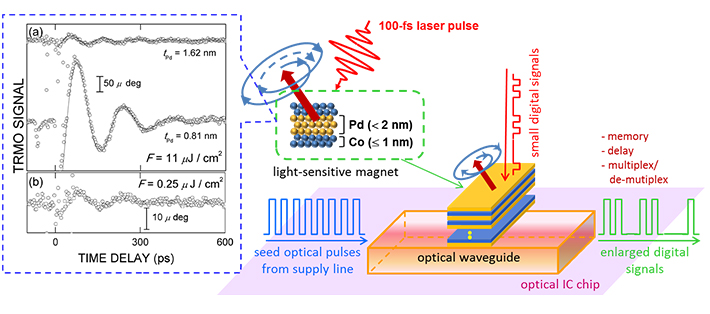 Experimental data of photo-excited precession of magnetization (left), schematic illustration of Co/Pd ultra-thin multi-layers (upper center), and the concept of three-terminal photonic device utilizing photo-magnetic property (lower right).