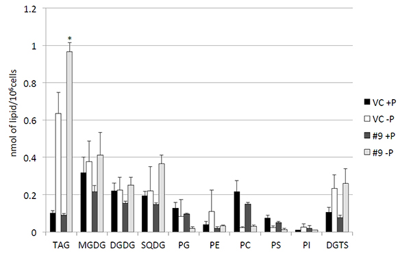 Quantitative analysis of various lipids.