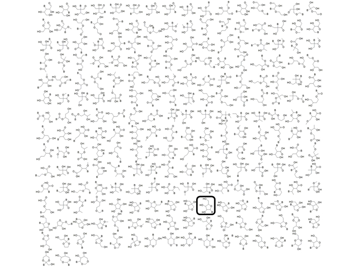 The 227 isomers of RNA computed by the researchers.