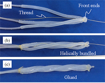 Procedure for making the device.