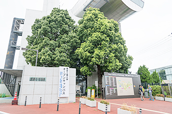 Tokyo Tech's distinctive main gate