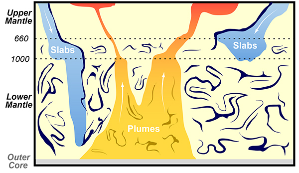 Some slabs sink deep into the mantle, others stall at ~1000 km depth, i.e. somewhat deeper than the upper-lower mantle boundary at 660 km depth. This behavior can be explained by moderate mantle layering with an accumulation of basalt (blue squiggles) in the lower mantle. Basalt has originally been subducted into the mantle as oceanic crust, and is recycled by plumes that feed volcanoes beneath a hotspot.