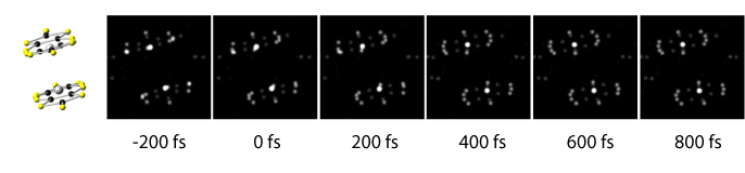 A molecular movie