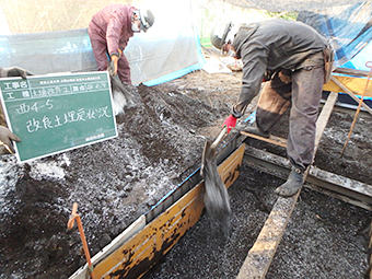 Cherry tree root maintenance