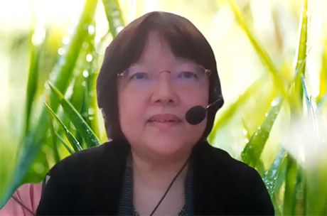 Prof. Misako Takayasu participating in the online symposium