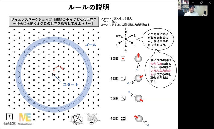 Using dice to recreate random walk of particles