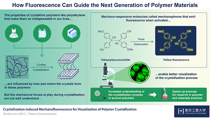 How Fluorescence Can Guide the Next Generation of Polymer Materials