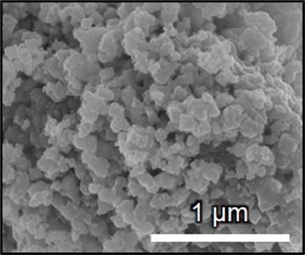 Figure 2. Scanning electron microscope image of CMO powder