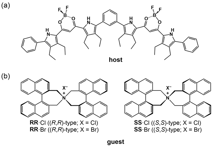 Figure 1.(a) Fluorescent foldamer receptor (host) and (b) chiral ion pairs