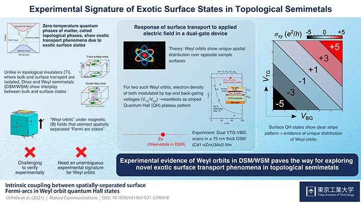 Experimental Signature of Exotic Surface States in Topological Semimetals