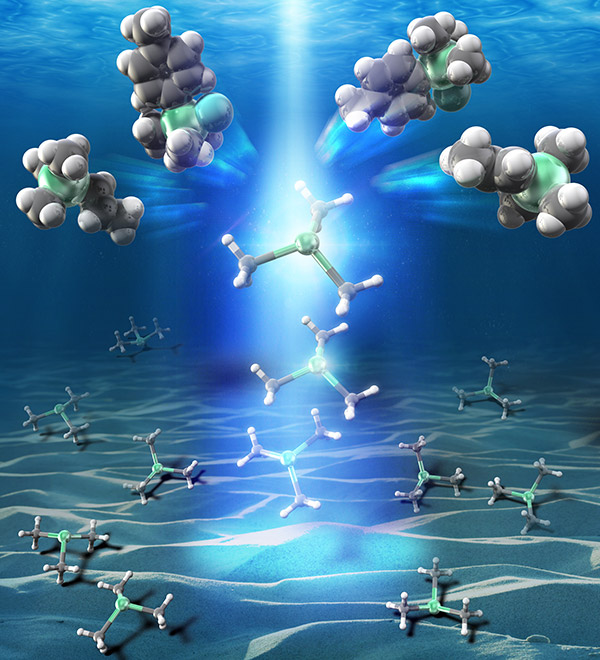 Illuminating stannylation