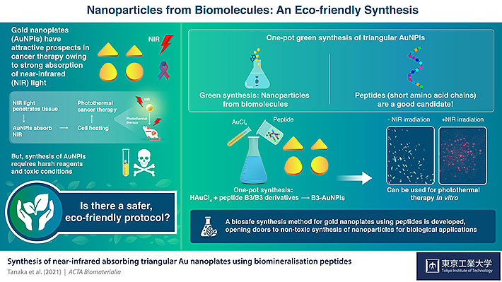 Striking Gold: Synthesizing Green Gold Nanoparticles for Cancer Therapy with Biomolecules