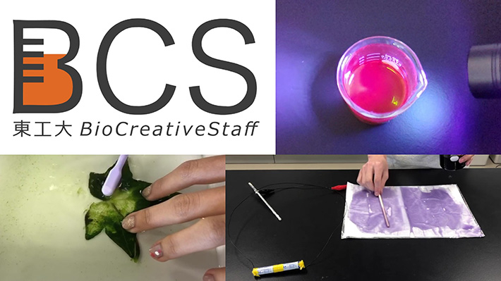Bio Creative Staff student club experiments (clockwise from top right): Red chlorophyll, purple cabbage and electric pen, veins of leaf