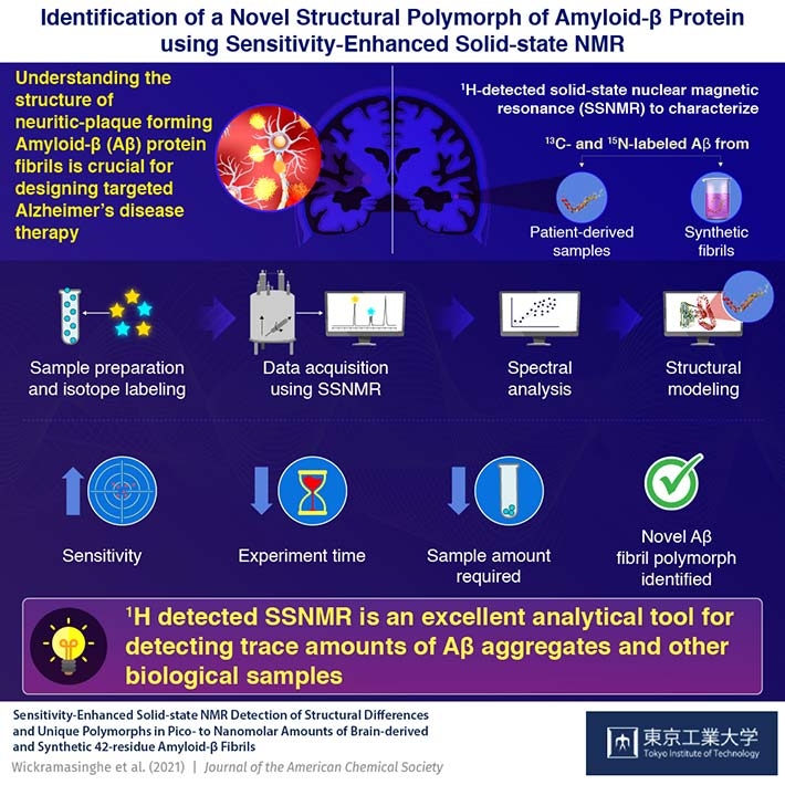 Identification of a Novel Structural polymorph of Amyloid β protein using sensitivility-Enhanced Solid-state NMR